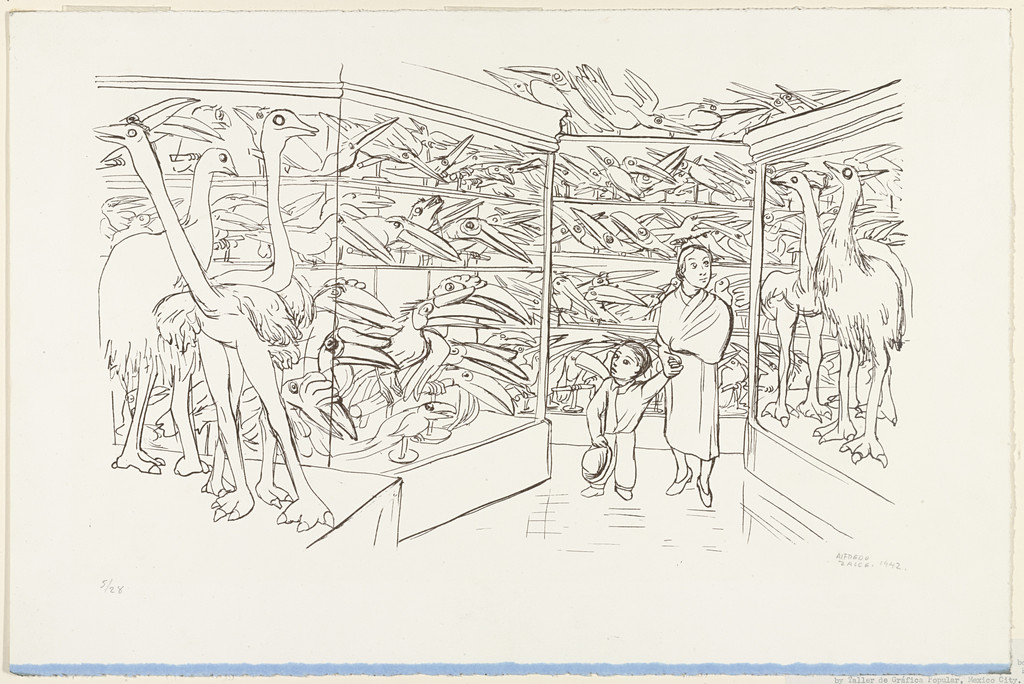 Visit to the Museum (Visita museo)