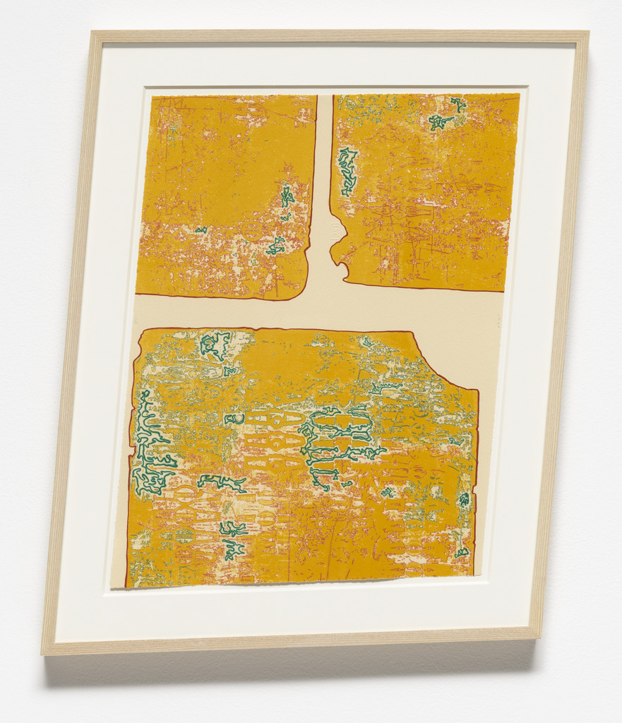 Backs IIII: Beach-Nut Micoma