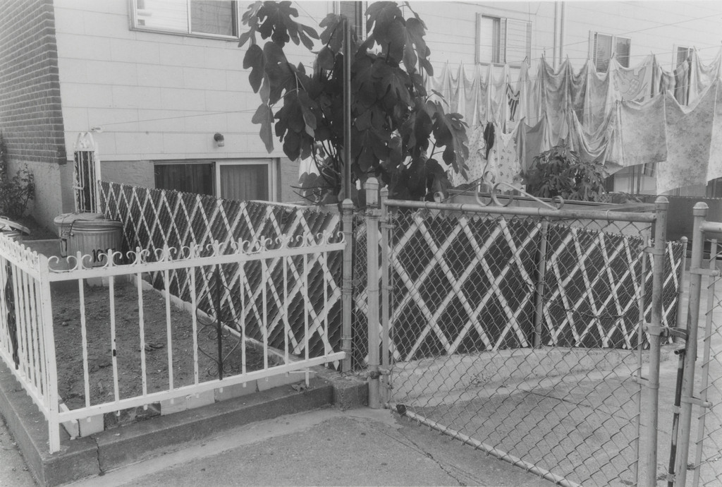 Untitled, Thomas Roma, 1974-80