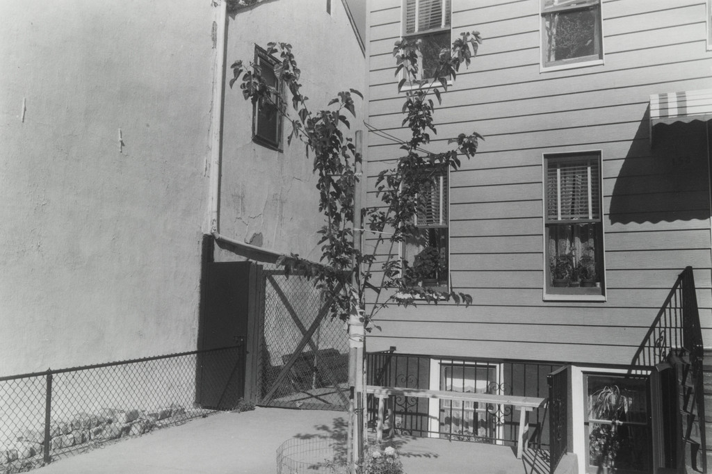 Untitled, Thomas Roma, 1974-80