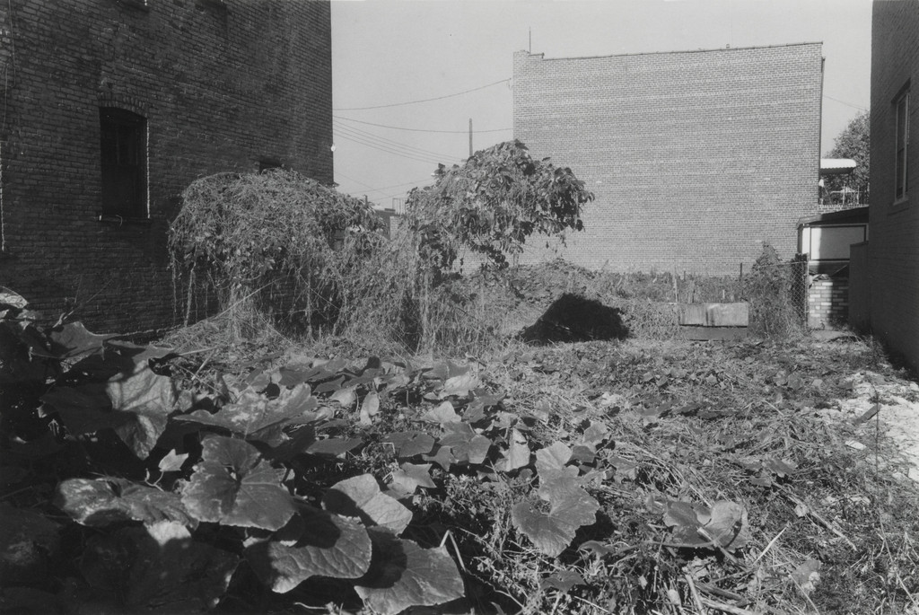 Untitled, Thomas Roma, 1974-80
