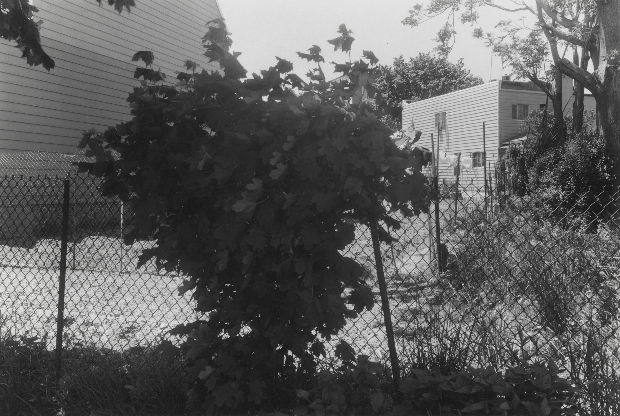 Thomas Roma. Untitled