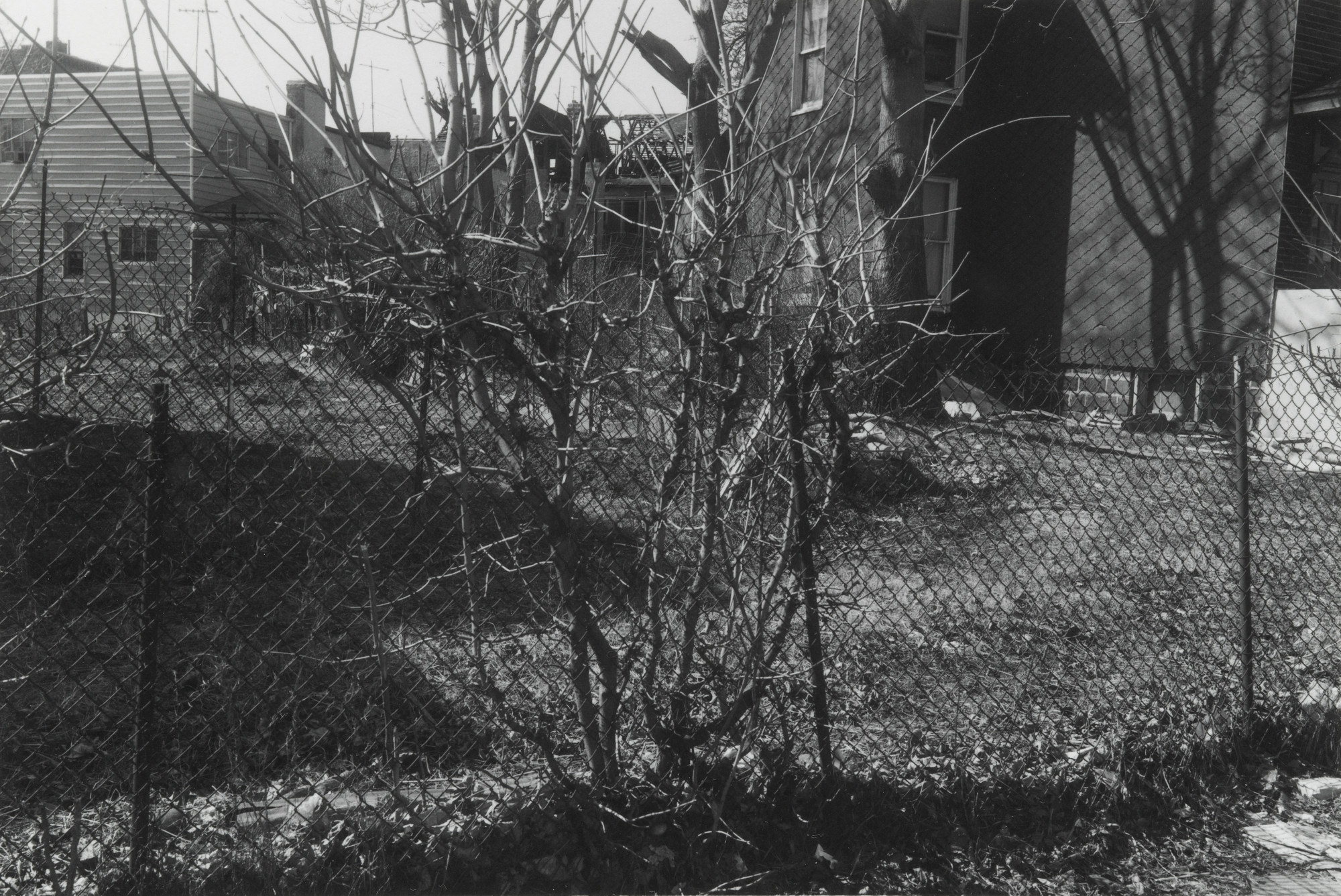 Thomas Roma. Untitled