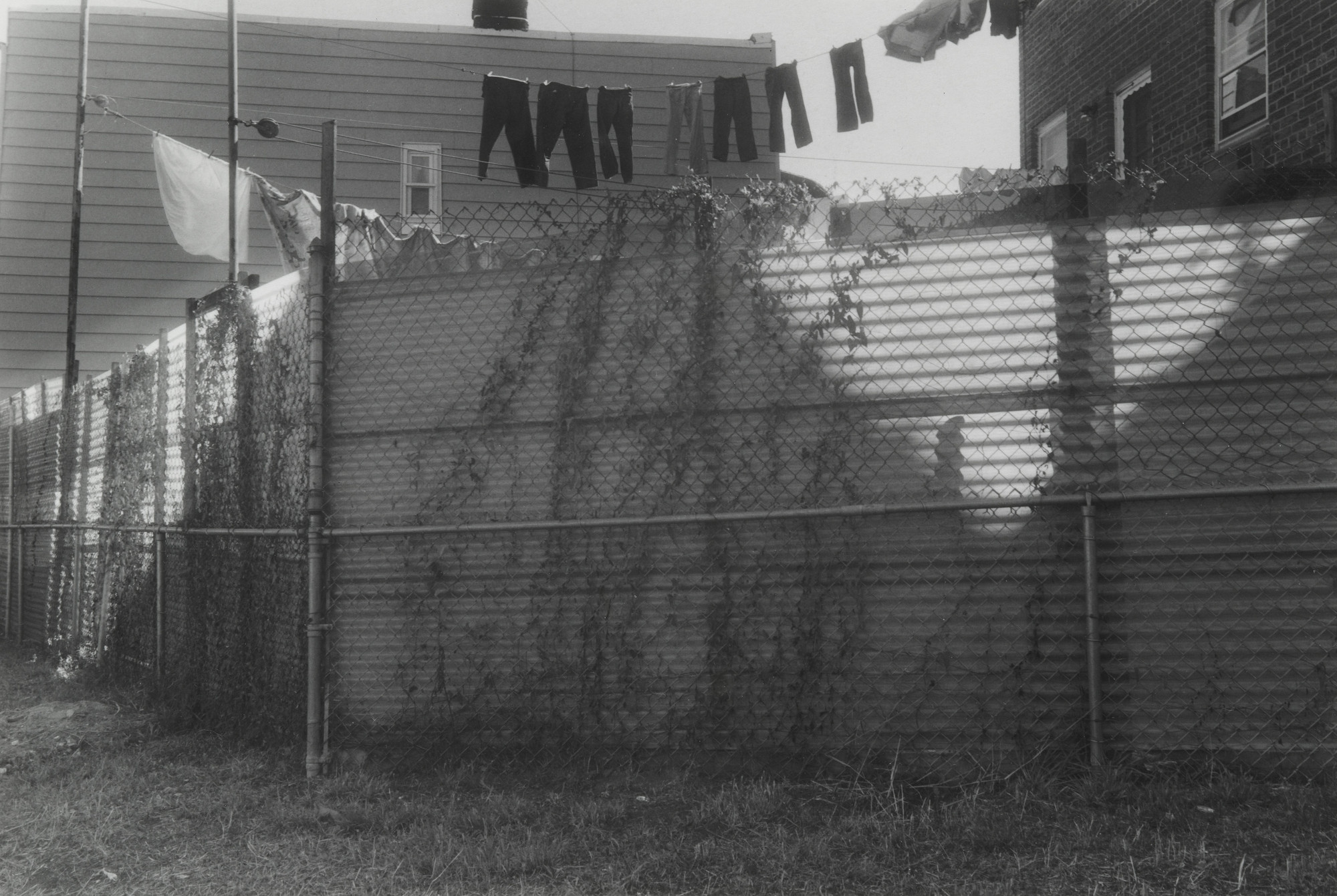 Thomas Roma. Untitled