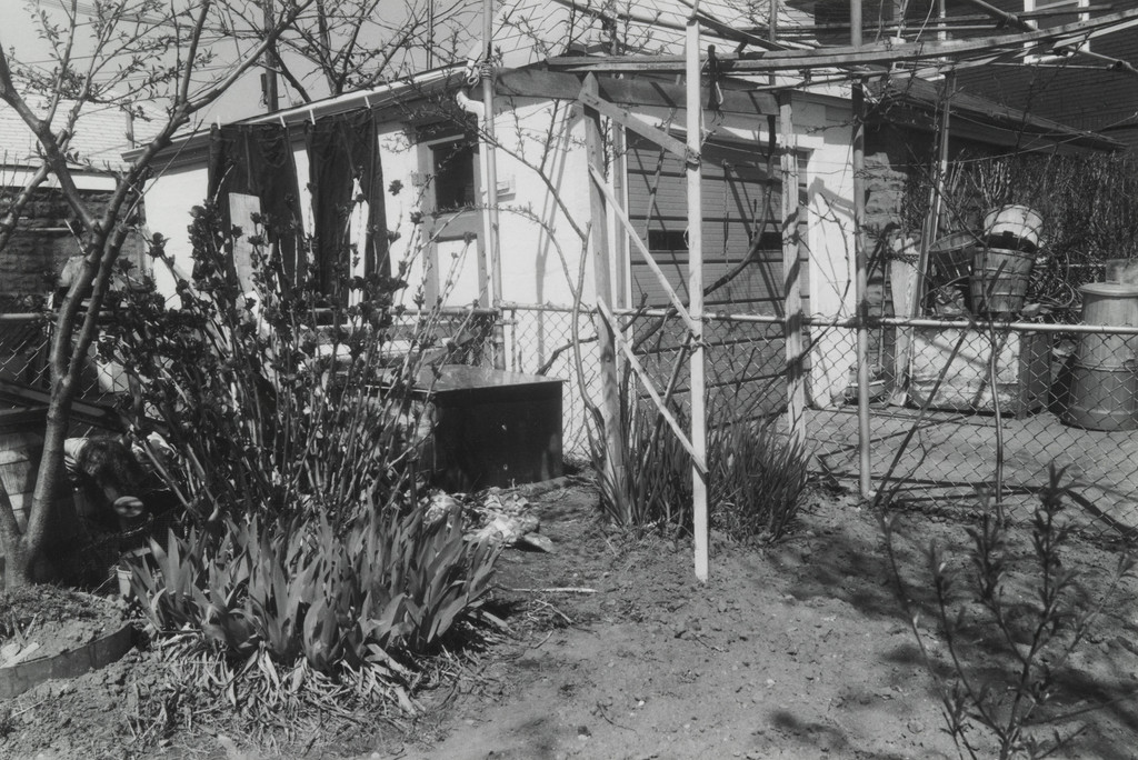 Untitled, Thomas Roma, 1974-80