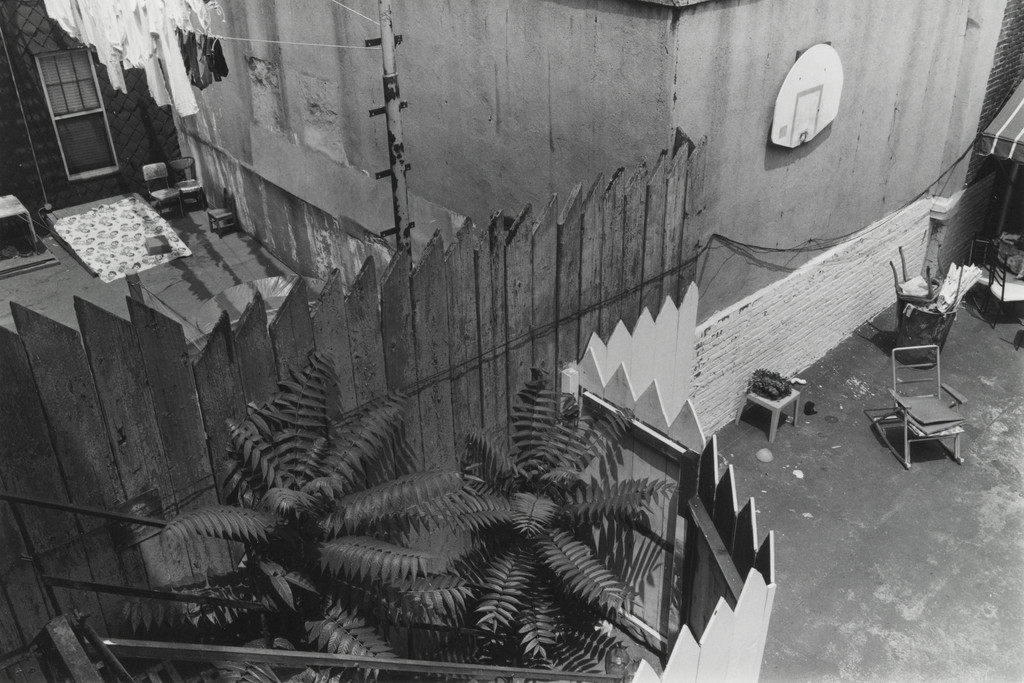 Untitled, Thomas Roma, 1974-80