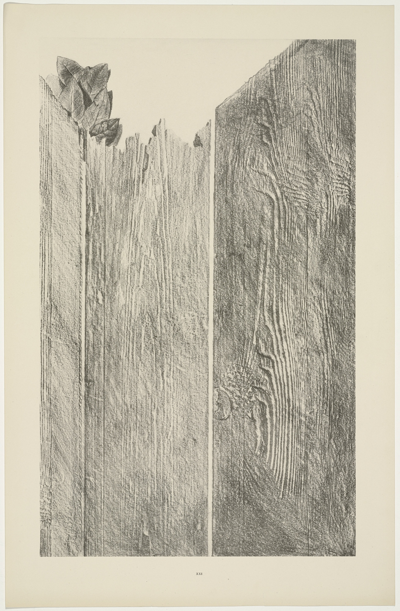 Max Ernst. Shaving the Walls (Rasant les murs) from Natural History (Histoire naturelle)
