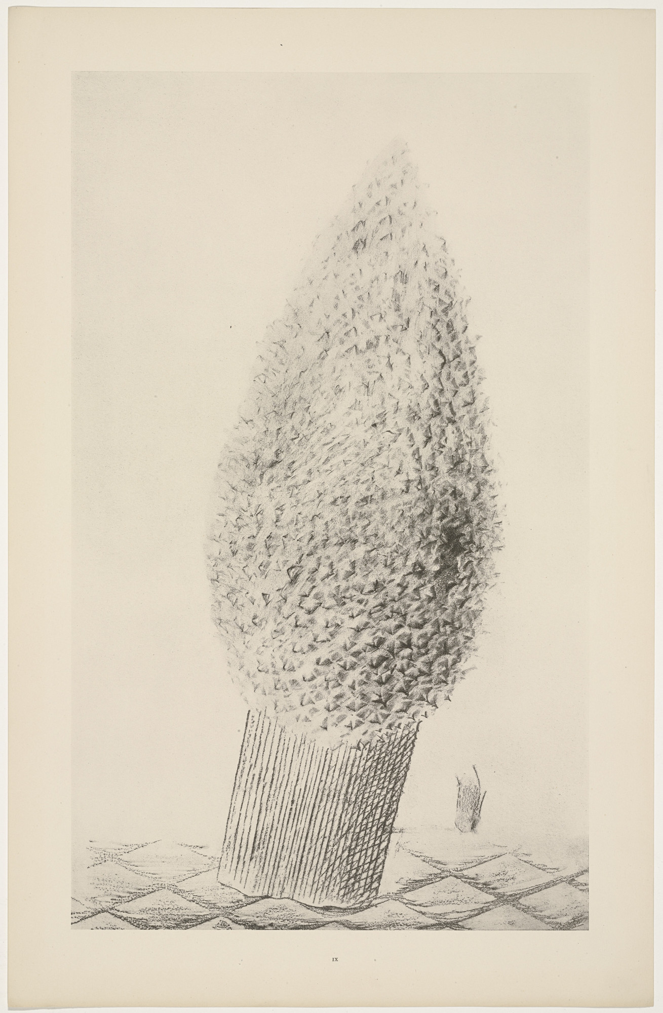 Max Ernst. Confidences (Les Confidences) from Natural History (Histoire naturelle)