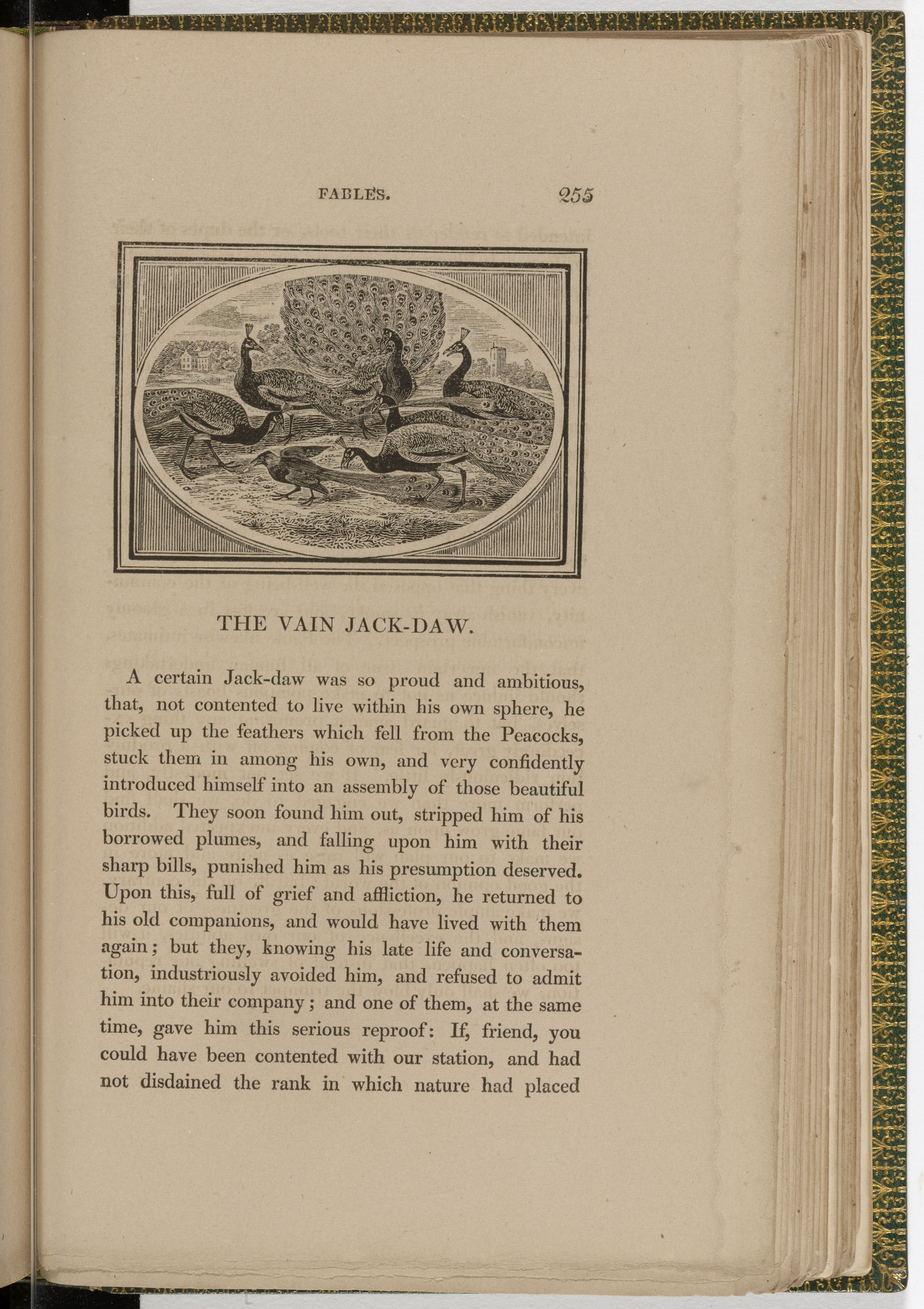 Thomas Bewick. Headpiece (page 255) from The Fables of Aesop