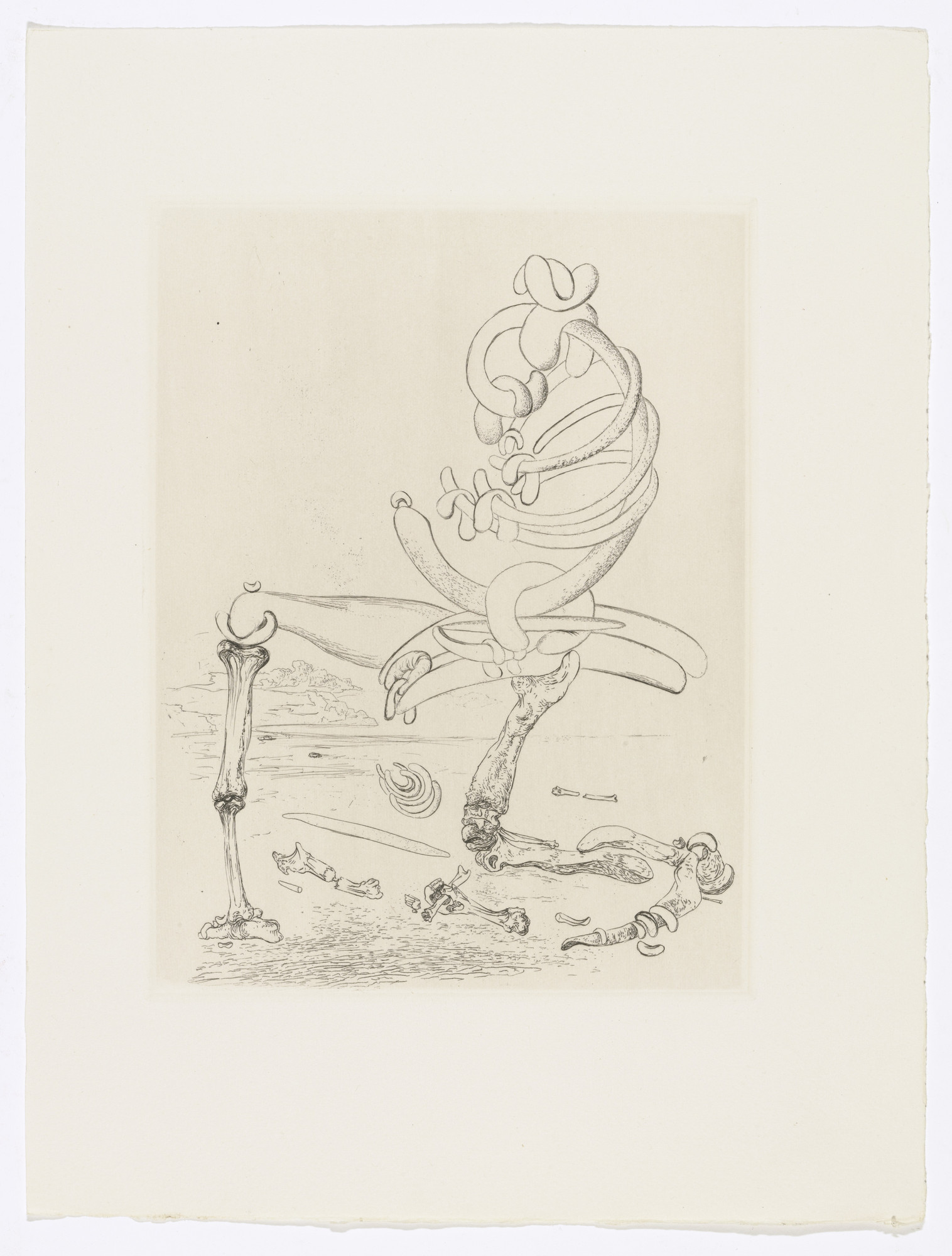 Salvador Dalí. Plate (facing page 22) from Les Chants de Maldoror (The Songs of Maldoror)