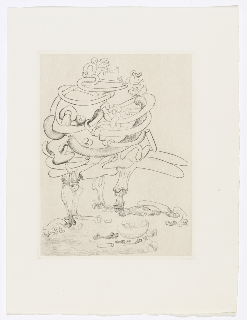 Plate (facing page 40) from Les Chants de Maldoror (The Songs of Maldoror) by Salvador Dalí