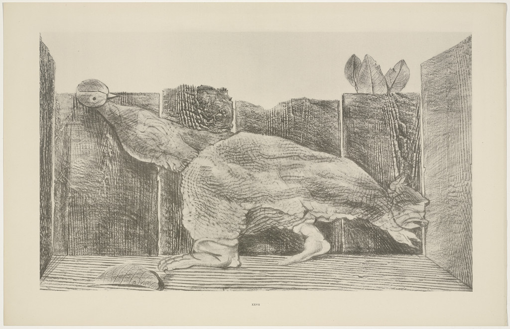 In the Stable of the Sphinx (Dans l'écurie du sphinx) from Natural History (Histoire naturelle)