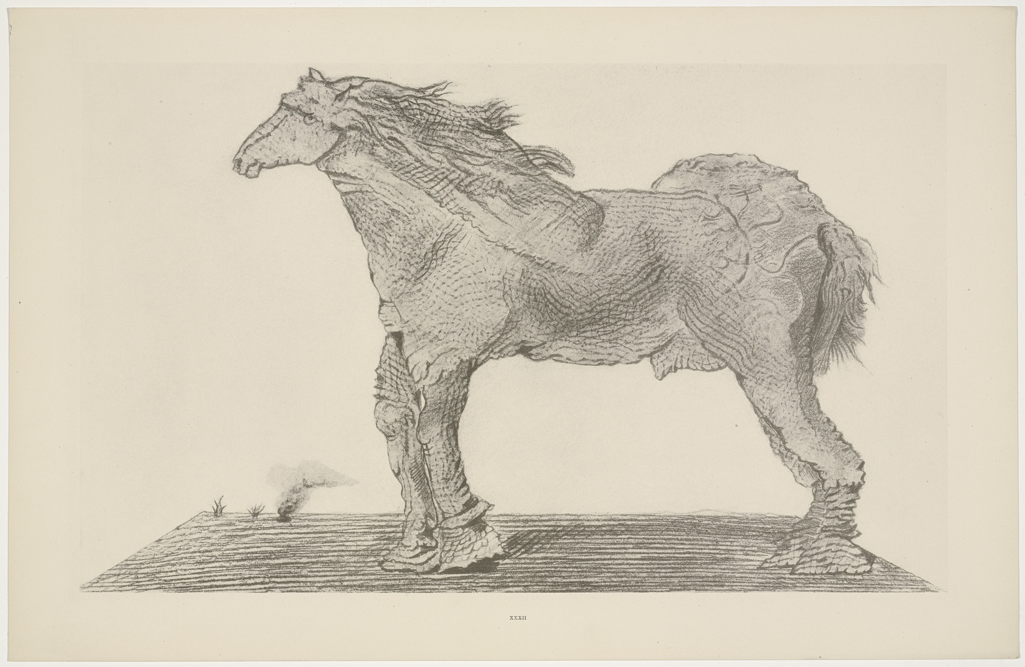 Max Ernst. To Forget Everything (A tout oublier) from Natural History (Histoire naturelle)
