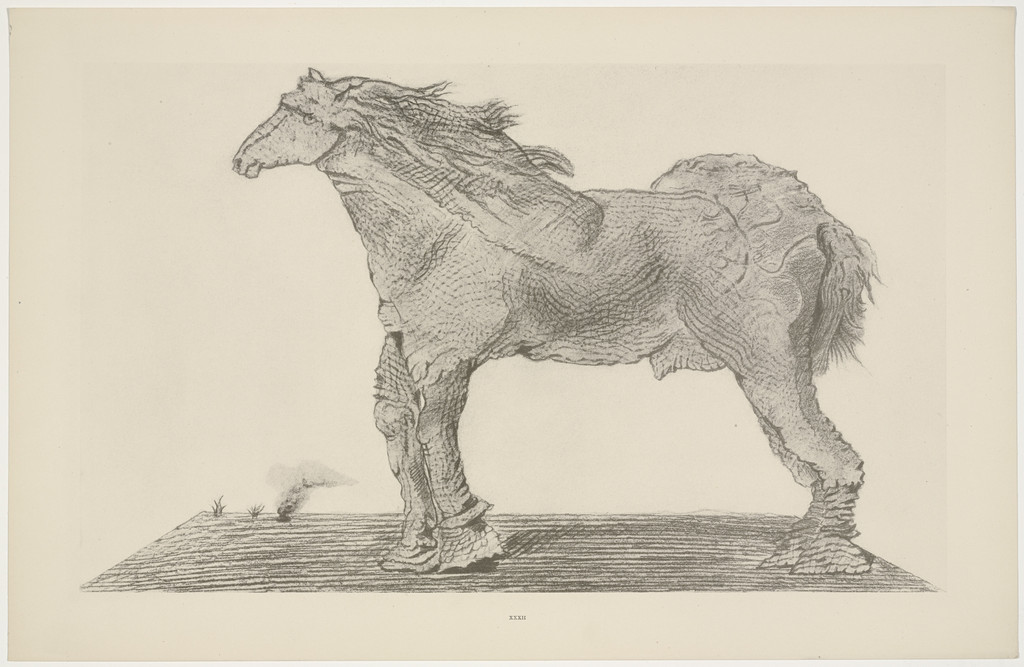 To Forget Everything (A tout oublier) from Natural History (Histoire naturelle)