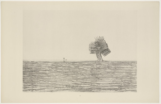 「限定1200部No.847 Max Ernst 自然の歴史 函付」 W1siZiIsIjE3OTgzMCJdLFsicCIsIm