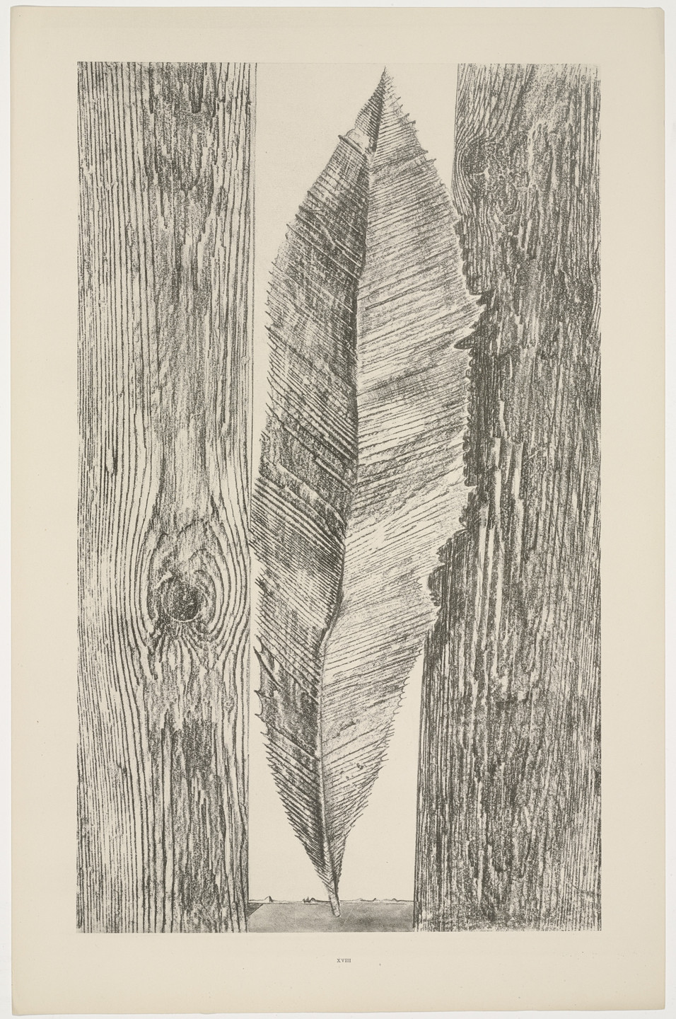 Max Ernst. The Habit of Leaves (Les Moeurs des feuilles) from Natural History (Histoire naturelle). c. 1925, published 1926