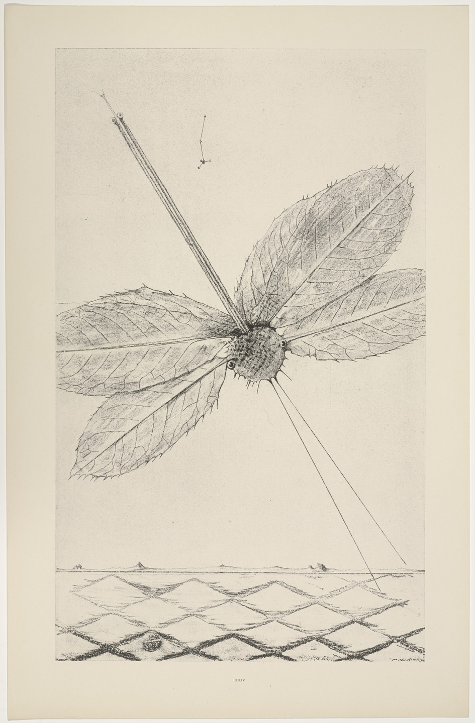 Max Ernst. Teenage Lightning (Les Éclairs au-dessous de quatorze ans) from Natural History (Histoire Naturelle). c. 1925, published 1926