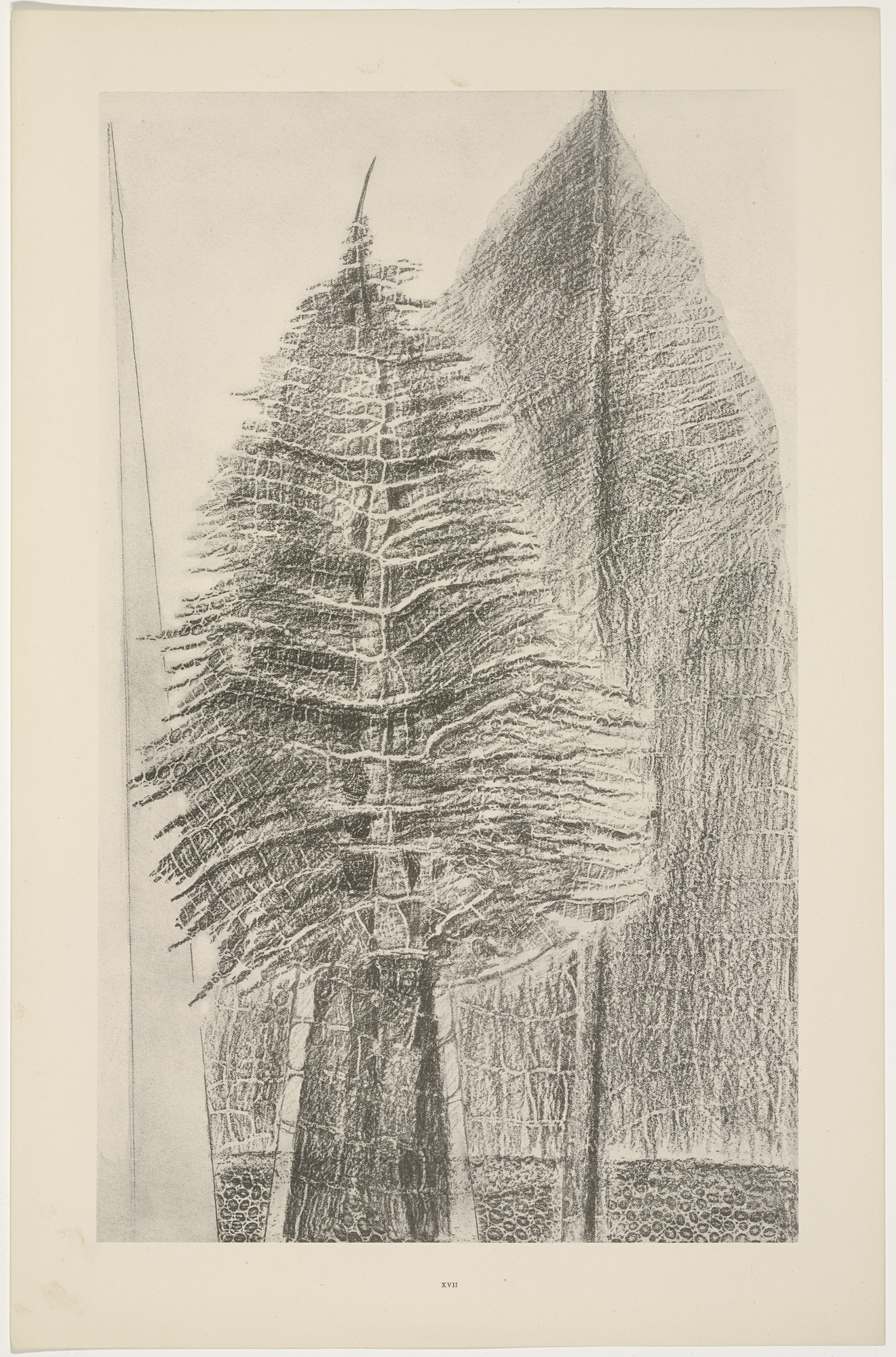 Max Ernst. The Fascinating Cypress (Le Fascinant cyprès) from