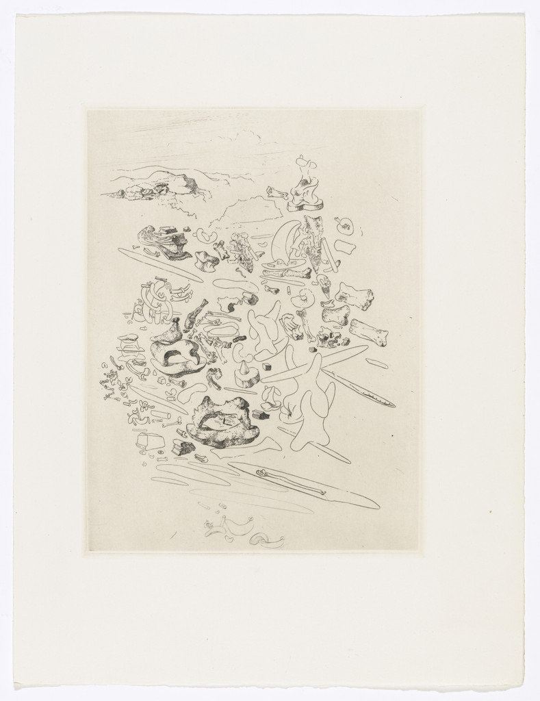 Plate (facing page 28) from Les Chants de Maldoror (The Songs of Maldoror) by Salvador Dalí