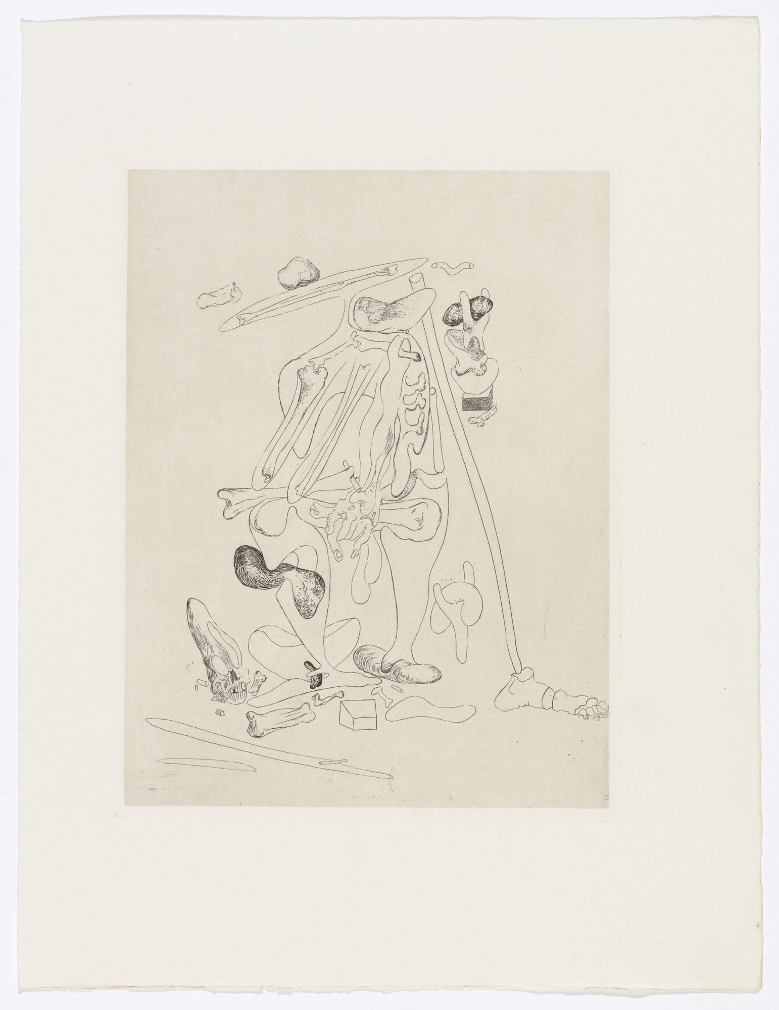 Salvador Dalí. Plate (facing page 46) from Les Chants de Maldoror (The Songs of Maldoror)