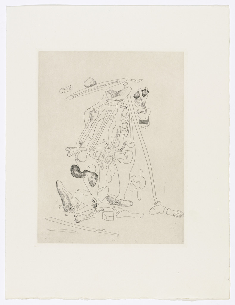 Plate (facing page 46) from Les Chants de Maldoror (The Songs of Maldoror) by Salvador Dalí