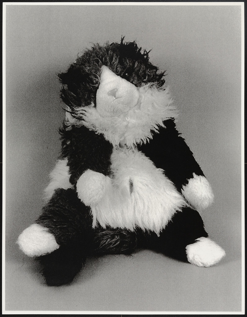 Untitled from Favorite Objects