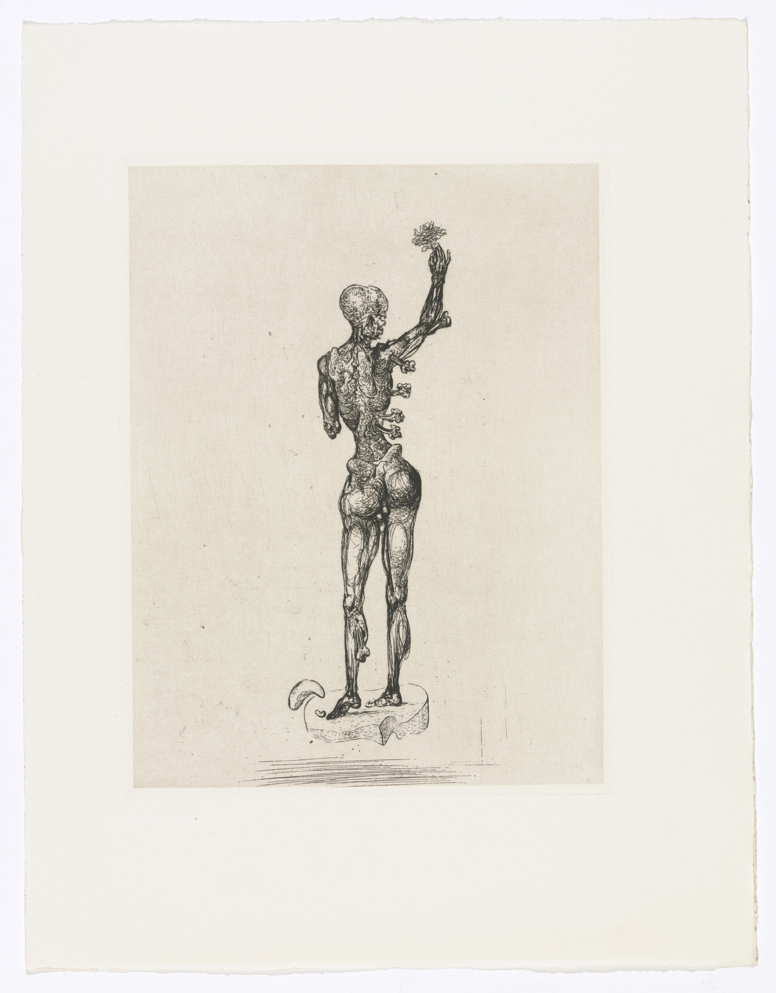 Salvador Dalí. Plate (facing page 58) from Les Chants de Maldoror (The Songs of Maldoror)