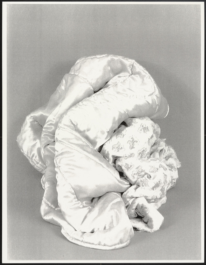 Untitled from Favorite Objects