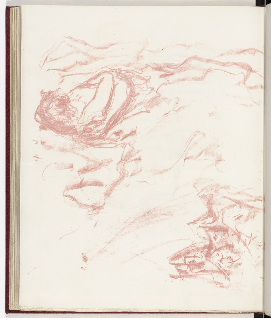 Plate (page 118) from Parallèlement (In Parallel)