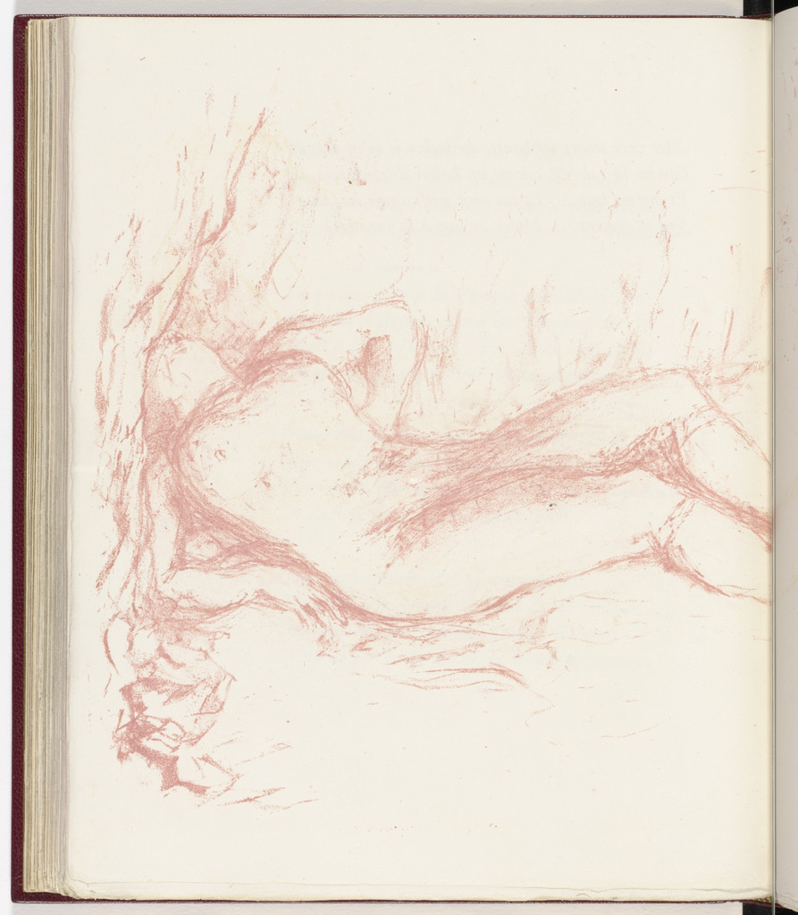 Plate (page 100) from Parallèlement (In Parallel)