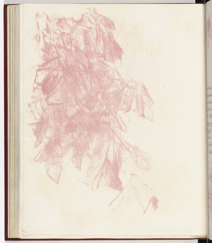 Plate (page 66) from Parallèlement (In Parallel)