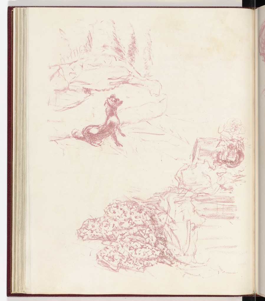 Plate (page 42) from Parallèlement (In Parallel)