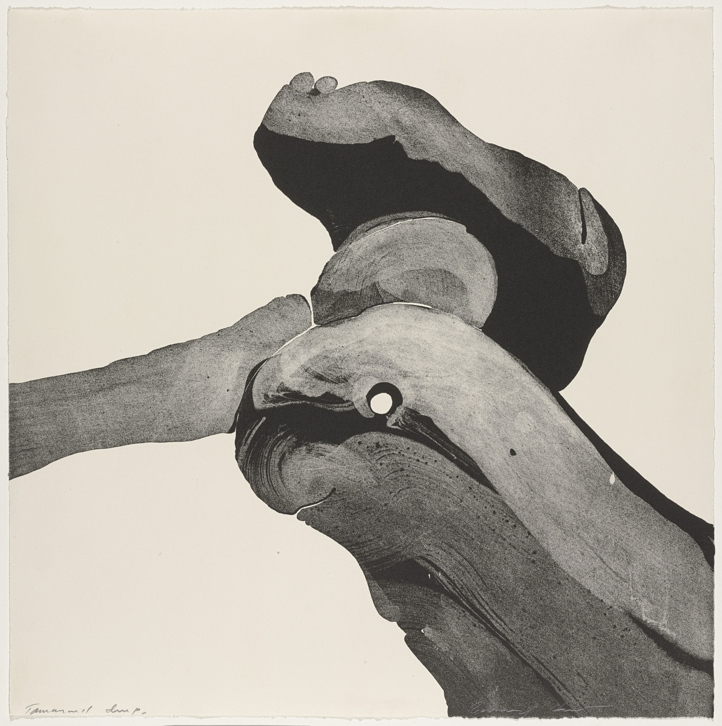 Richard Hunt. Untitled from Details. 1965