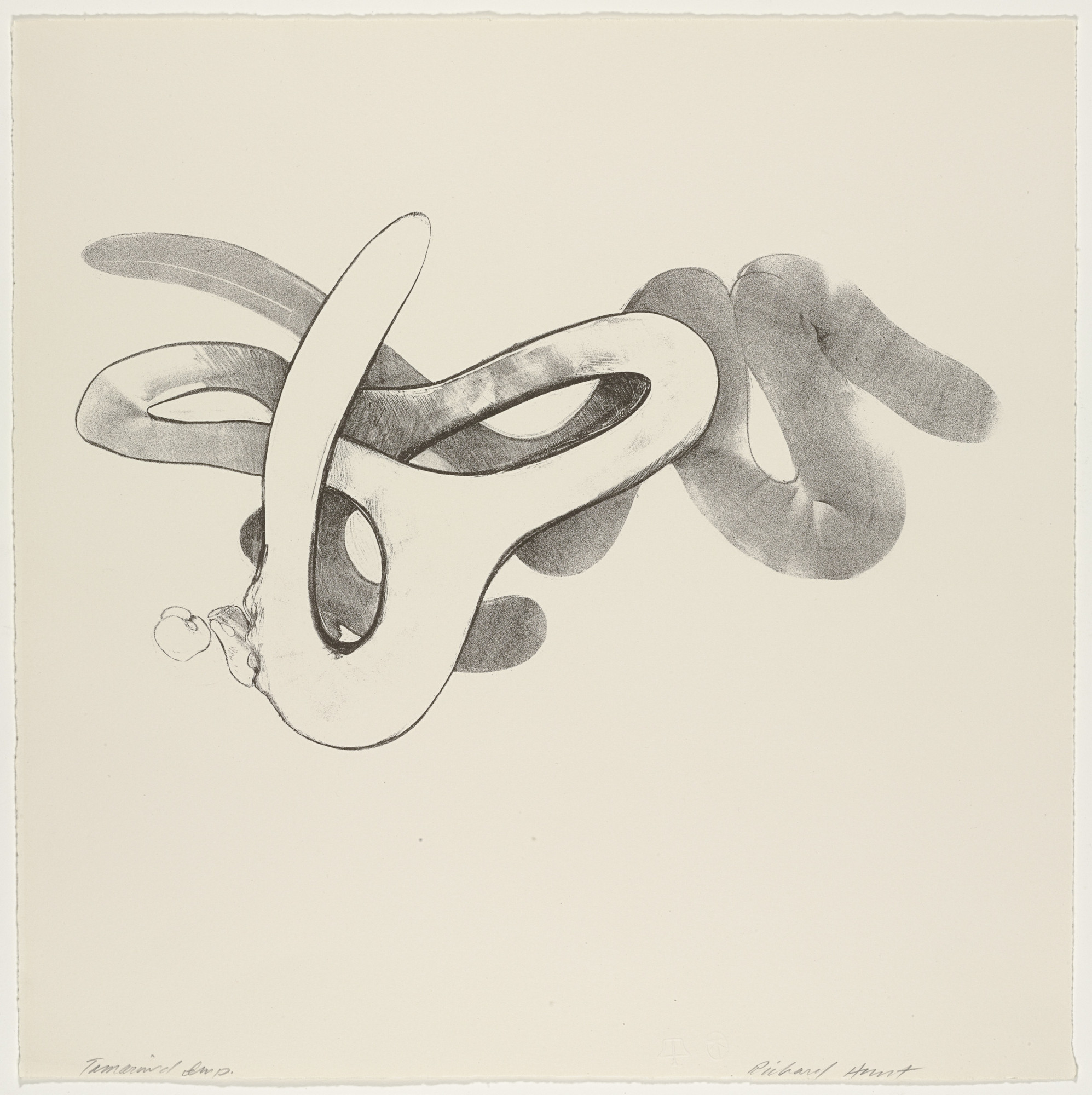 Richard Hunt. Untitled from Details