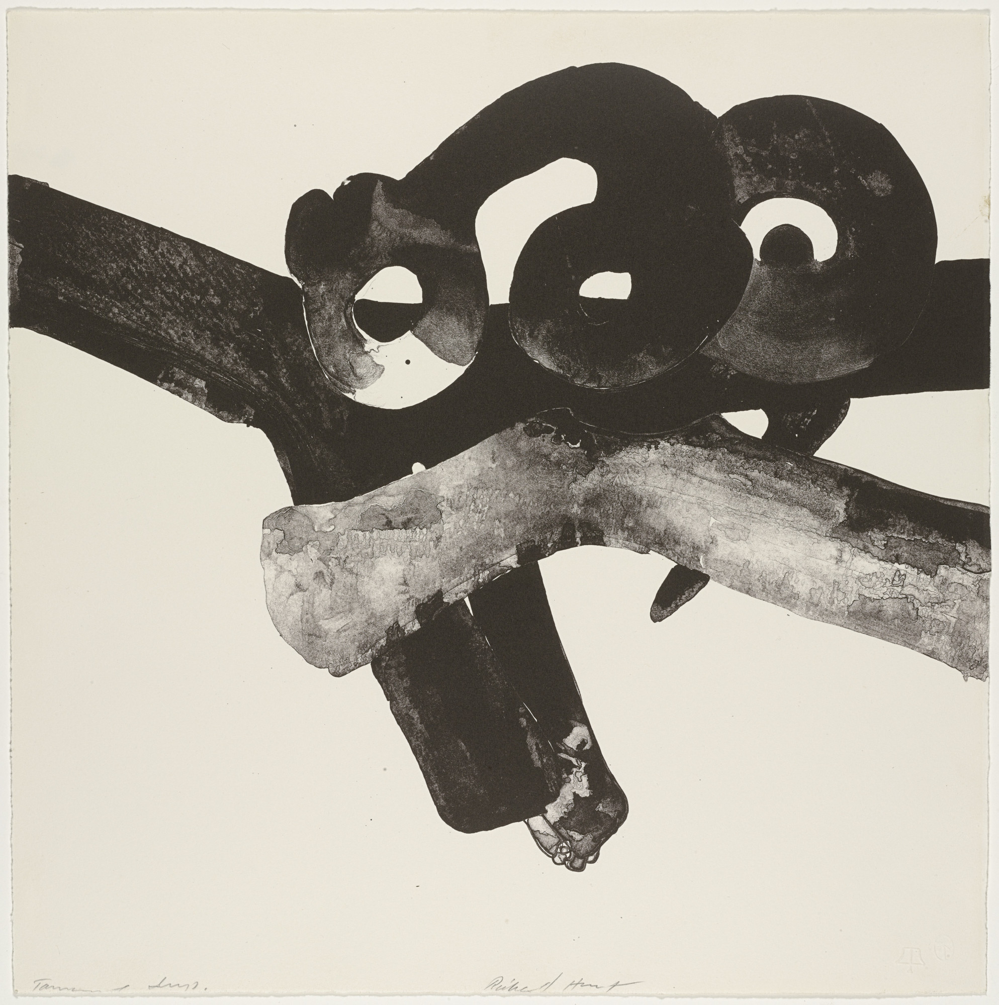 Richard Hunt. Untitled from Details