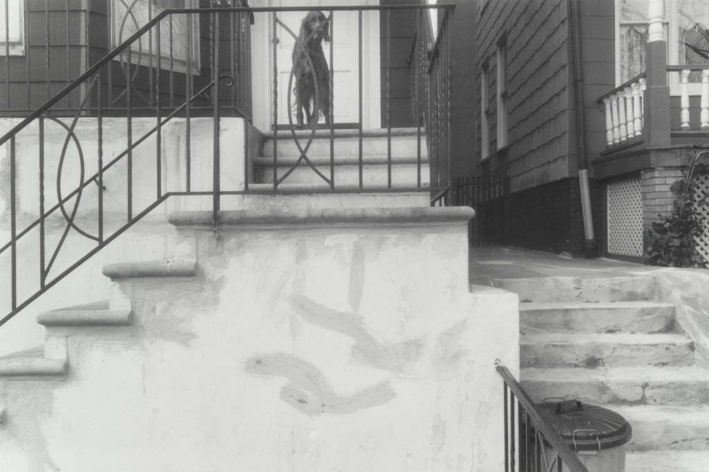 Pablo, Bensonhurst, Brooklyn