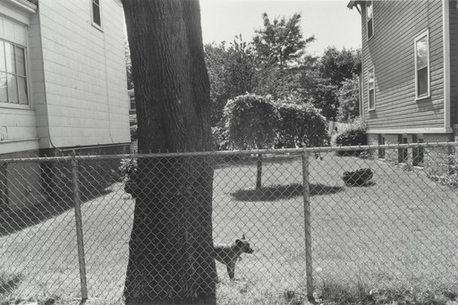 Speedy, Sheepshead Bay, Brooklyn