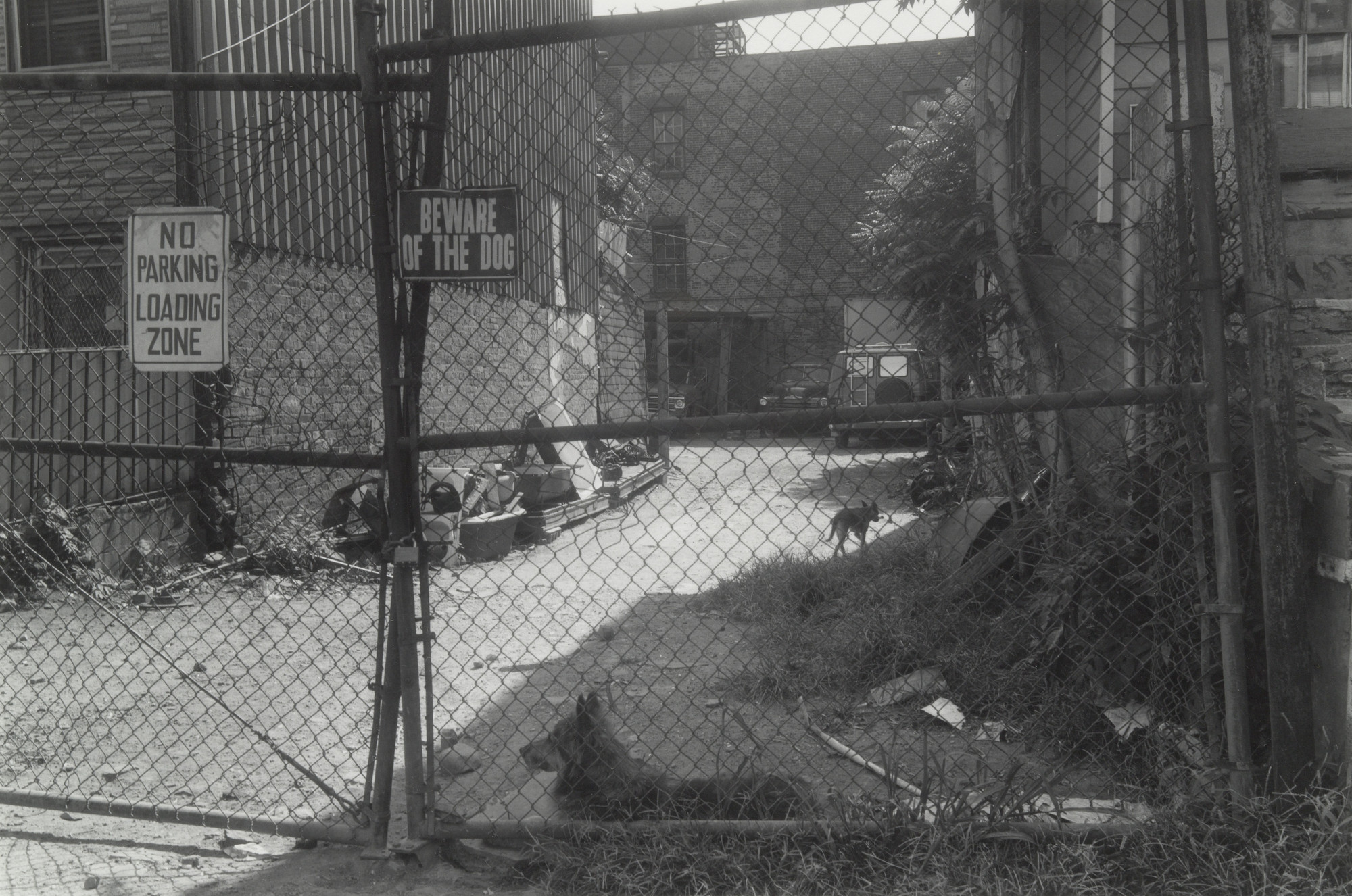 Thomas Roma. Moses and Stymie, Park Slope, Brooklyn. 1974