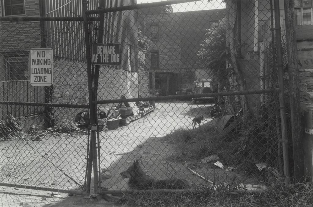 Moses and Stymie, Park Slope, Brooklyn, Thomas Roma, 1974