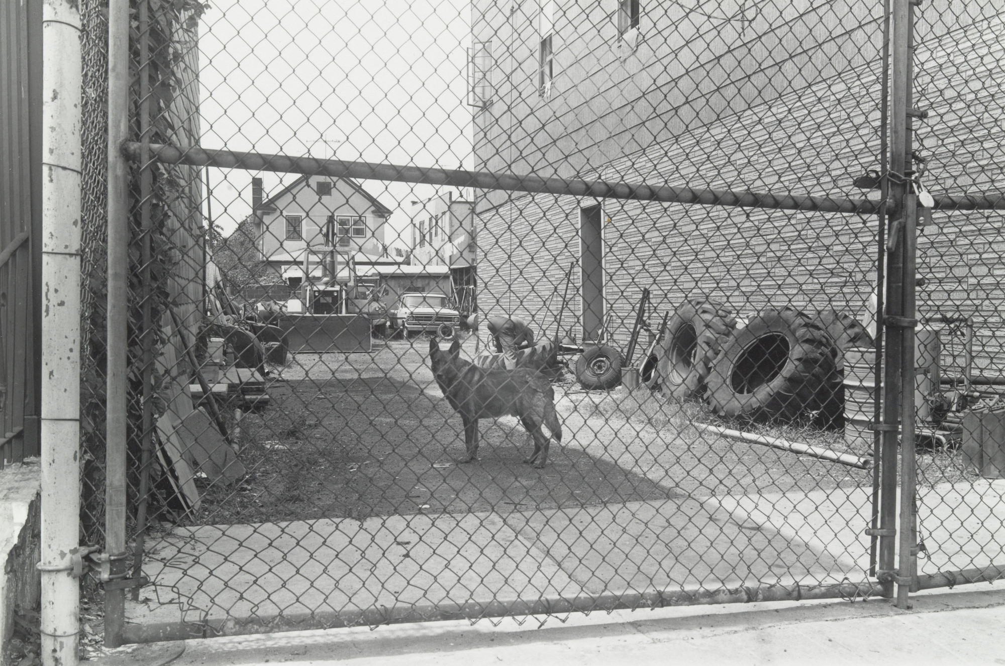 Thomas Roma. Kelso, Coney Island, Brooklyn. 1974