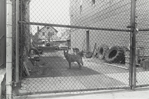 Kelso, Coney Island, Brooklyn