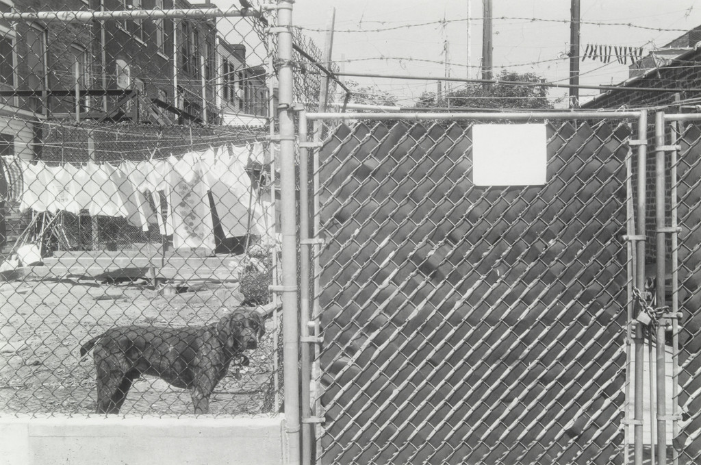 Benny, Bensonhurst, Brooklyn