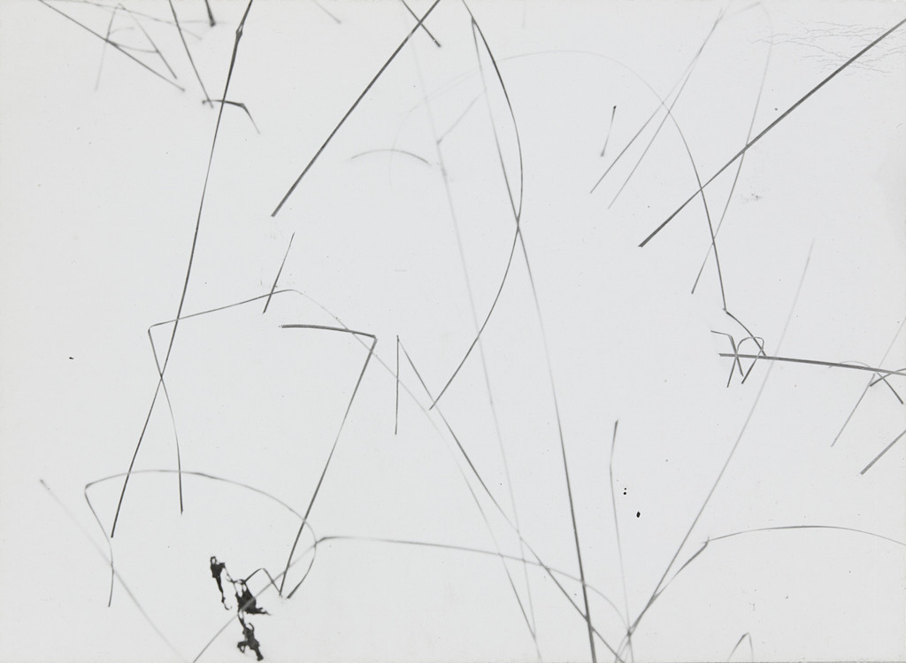 Grasses in Snow, Detroit