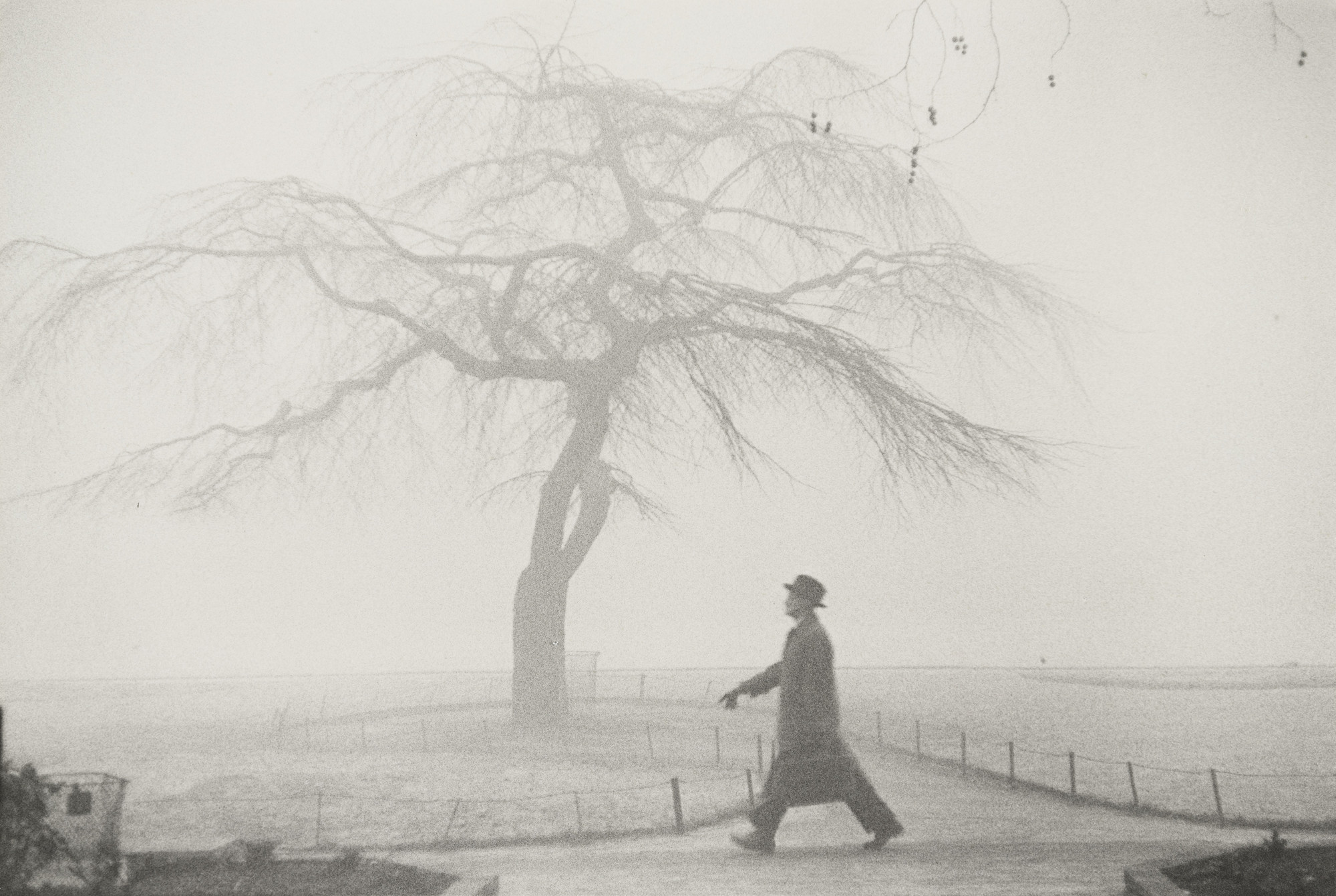 A person in a long coat and hat walks on a foggy path with a leafless tree in the background. The image is in black and white, creating a misty, blurred effect. This is an AI generated description. To give feedback, email ai@moma.org.