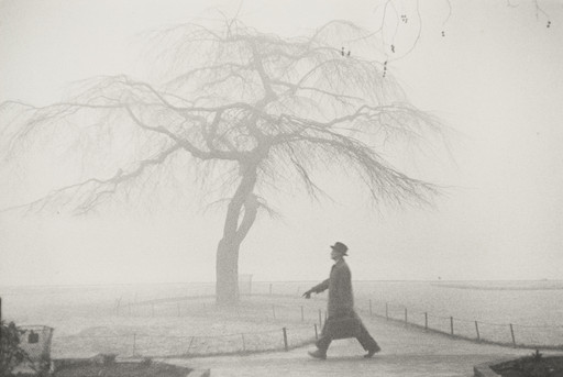 Robert Frank. Tree, London. 1951