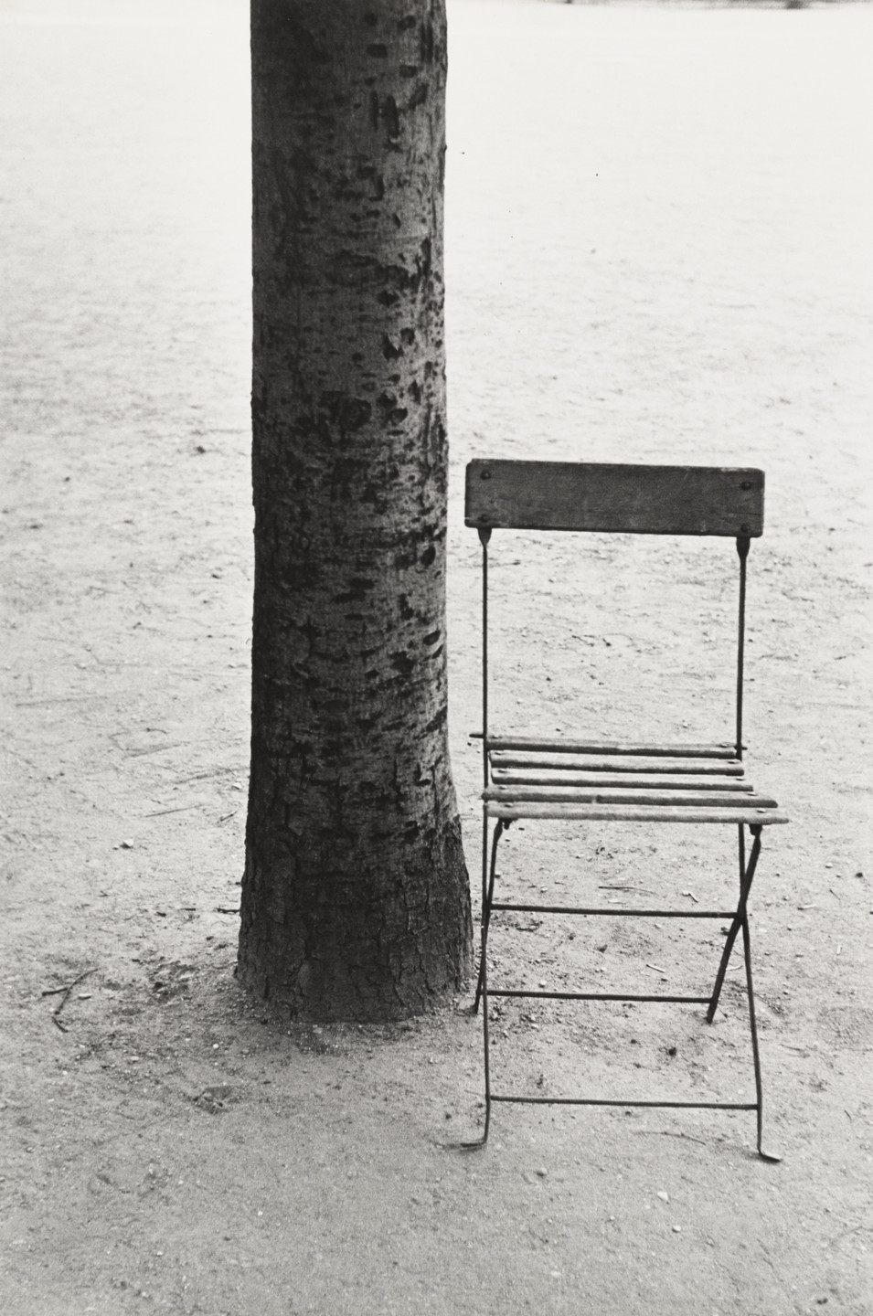 Robert Frank. Tree and Chair, Paris. 1949