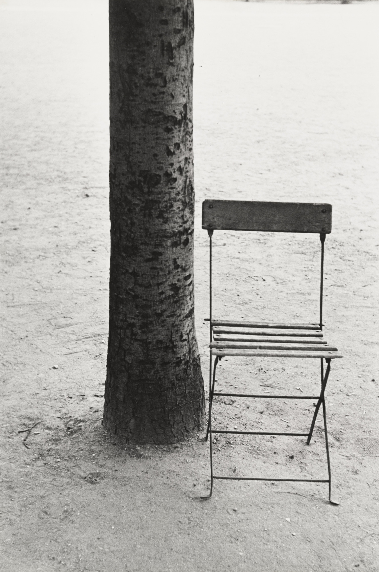 Robert Frank. Tree and Chair, Paris. 1949 | MoMA