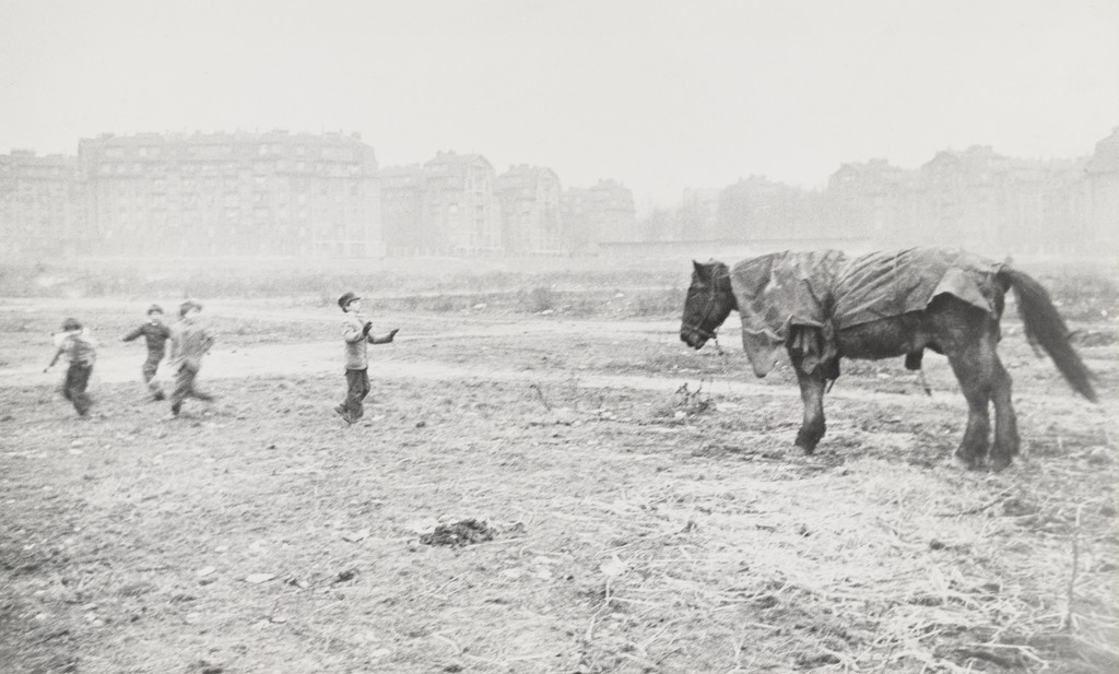 Horse and Children, Paris