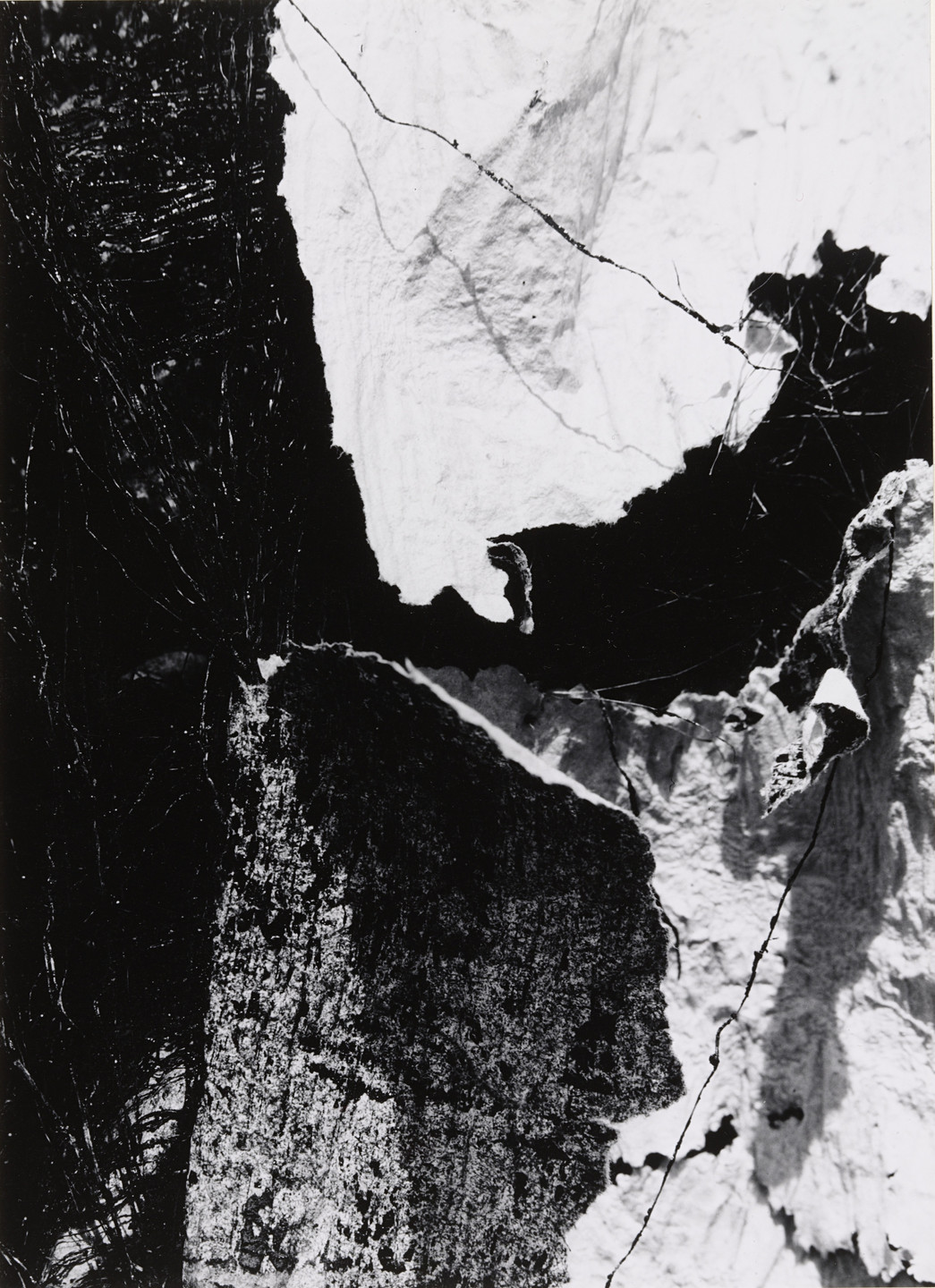 Walter Chappell. Number 36. 1958