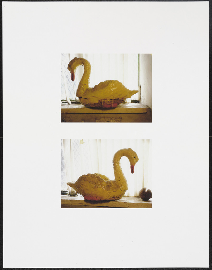 Untitled (for Parkett no. 83)